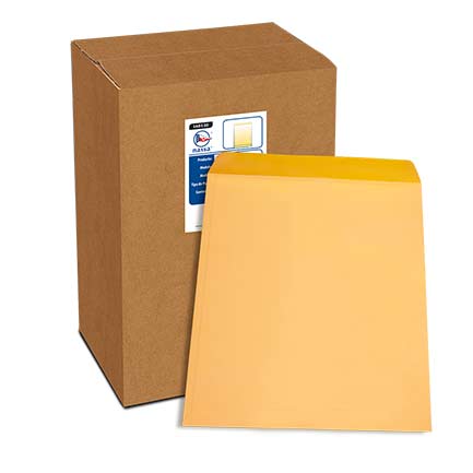 Sobre Bolsa Kraft Nassa Radiografía 90 Kg 40X50 Pq250 - Ia0130 FullOffice.com