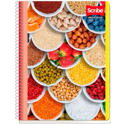 Cuaderno Scribe Profesional Mega C5 100H C/36 Pzas - 7512 FullOffice.com