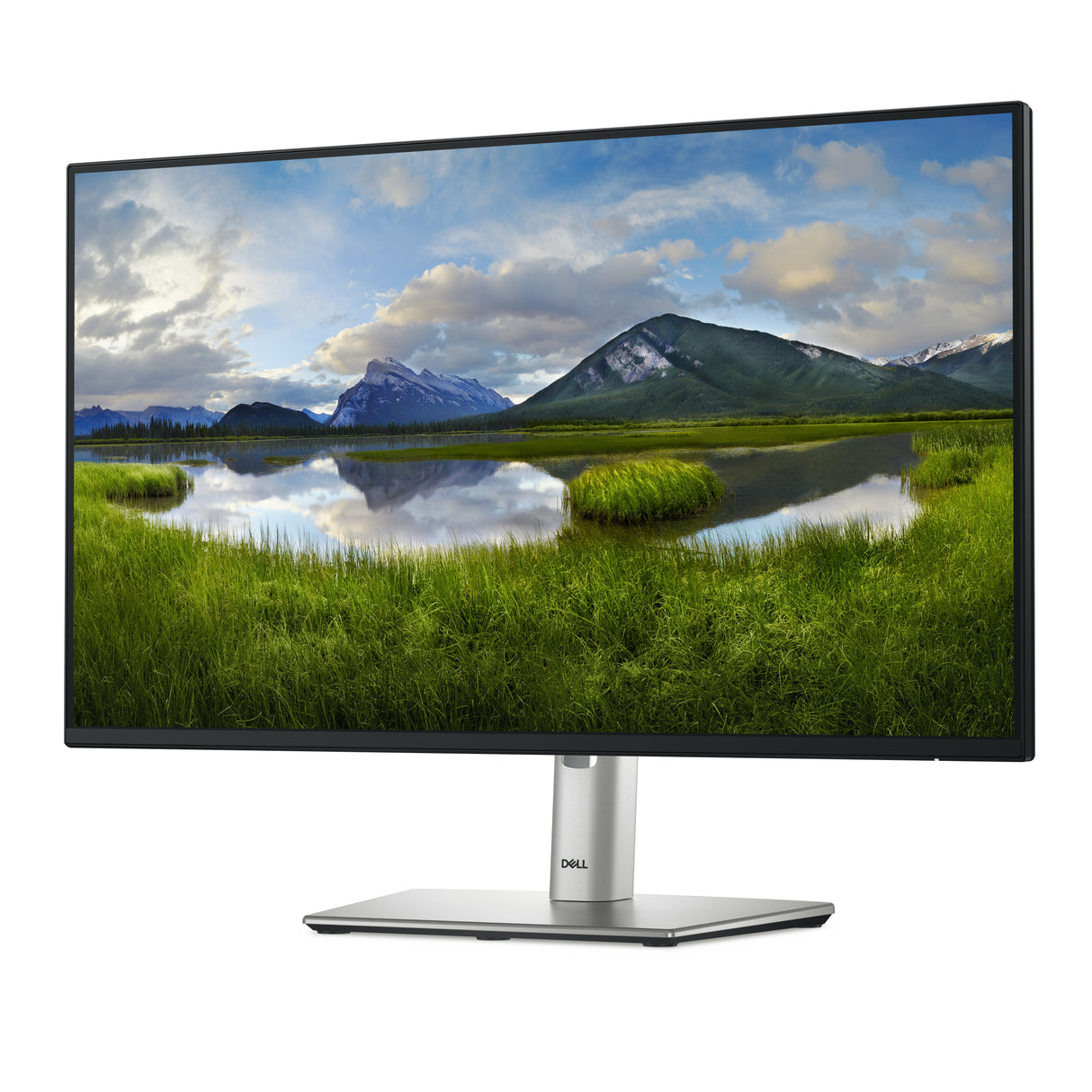 DELL Pro Plus P2425HE pantalla para PC 61 cm (24") 1920 x 1080 Pixeles Full HD LCD Negro
