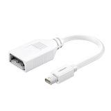 Ugreen Adaptador Mini DisplayPort Macho a DisplayPort Hembra / Thunderbolt 2 / DP 1.2 10445