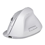 TechZone NS-MIS02 ratón Oficina Diestro RF inalámbrico 1600 DPI, Diseño vertical, Blanco