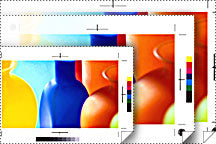 Epson Proofing Paper Commercial 36" x 100' Impresora