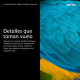 Xerox 13R591 Cartucho de Tinta WorkCentre 5325, 5330, 5335 1 pieza(s) Original Negro