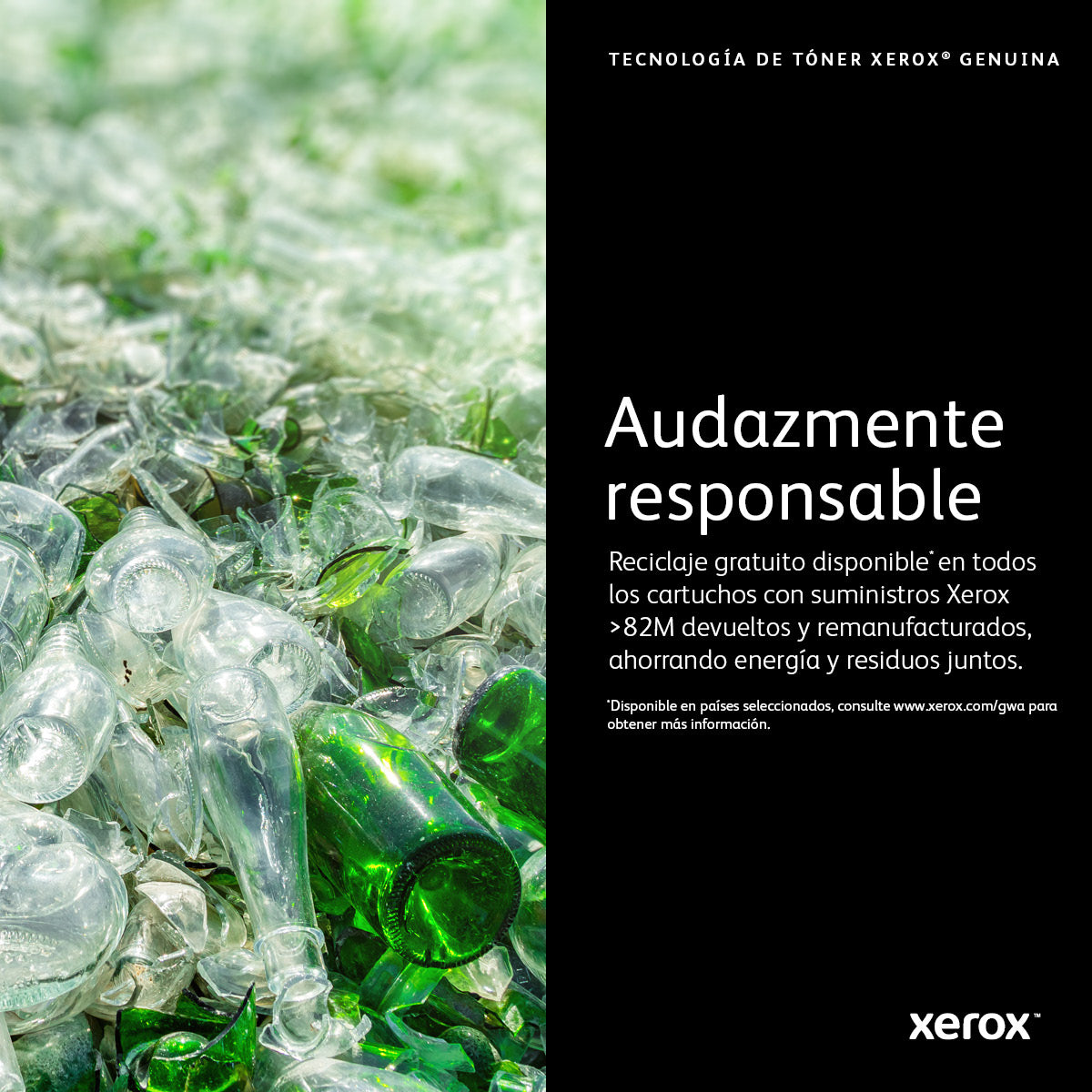 Xerox 13R591 Cartucho de Tinta WorkCentre 5325, 5330, 5335 1 pieza(s) Original Negro