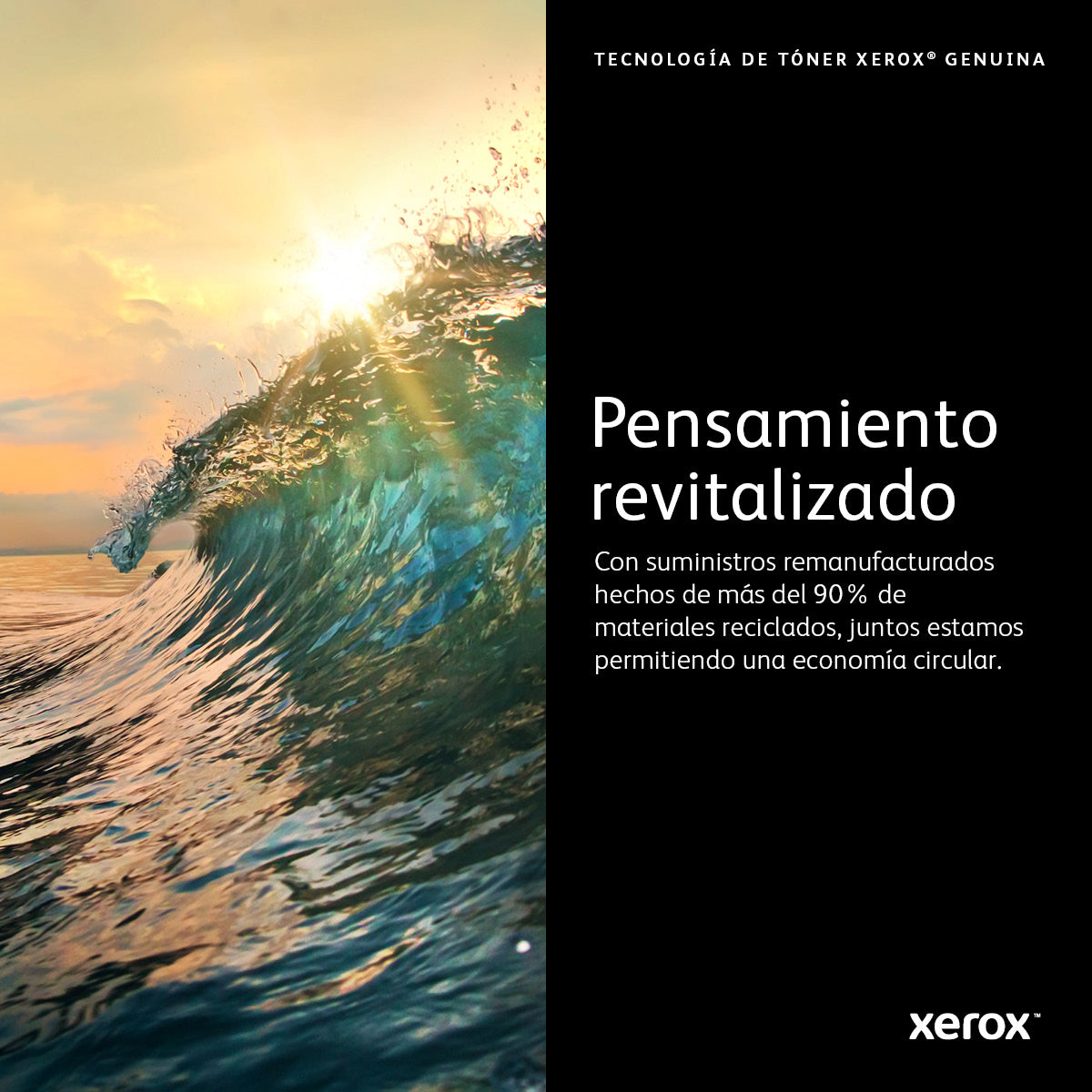 Xerox 13R591 Cartucho de Tinta WorkCentre 5325, 5330, 5335 1 pieza(s) Original Negro