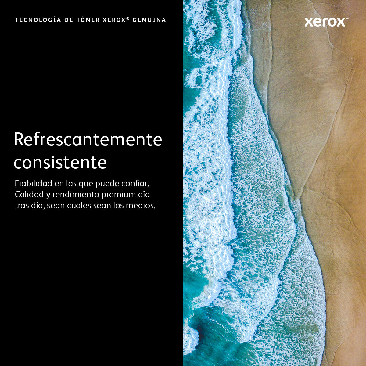 Xerox 13R591 Cartucho de Tinta WorkCentre 5325, 5330, 5335 1 pieza(s) Original Negro