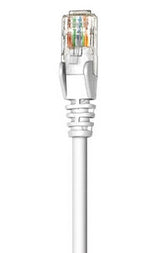Intellinet 1m Cat5e cable de red Blanco U/UTP (UTP)