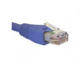 Nexxt Solutions 0.9m, RJ-45 cable de red Azul 0,9 m Cat5e U/UTP (UTP)