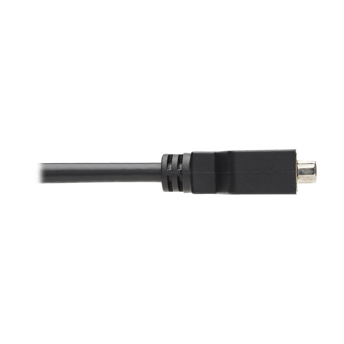 Tripp Lite P134-000 Adaptador de Cable DisplayPort a DVI, Convertidor para DP-M a DVI-I-F, 152 mm [6"], Macho, Hembra, 1