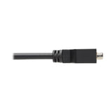 Tripp Lite P134-000 Adaptador de Cable DisplayPort a DVI, Convertidor para DP-M a DVI-I-F, 152 mm [6"], Macho, Hembra, 1