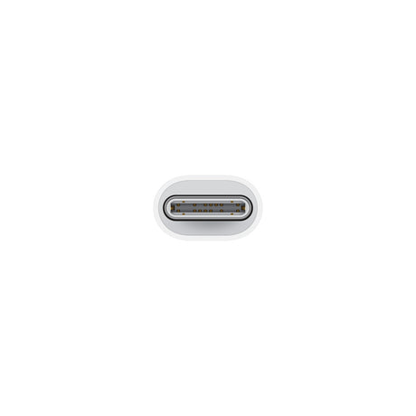 Apple Adaptador de USB-C a conector Lightning, USB Tipo C, Macho, Hembra