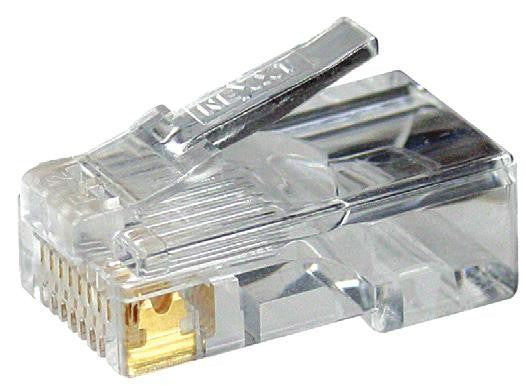 Nexxt Solutions AW102NXT01 conector RJ-45 Transparente