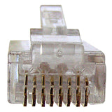 Nexxt Solutions AW102NXT01 conector RJ-45 Transparente