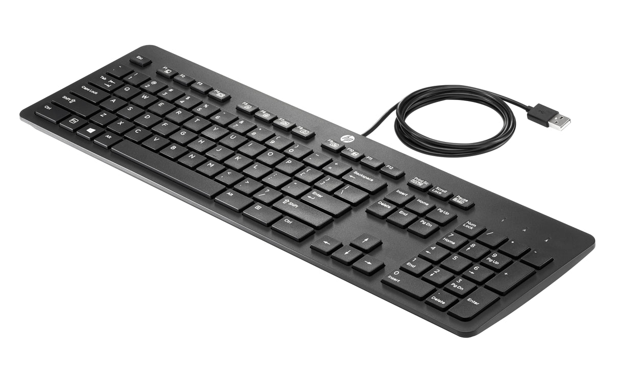 HP Teclado empresarial delgado USB, Tamaño completo (100%), Alámbrico, Negro