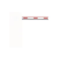 Brazo con Iluminación LED de 6 Metros para Barreras DS-TMG520 a 12 Vcd y Barreras DS-TMG420