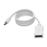 Tripp Lite P139-003-DP-V2B Cable Adaptador y Convertidor de Video Keyspan Mini DisplayPort a DisplayPort, 4K @ 60Hz, DP 