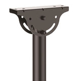 StarTech.com Soporte de Techo para TV - Soporte Universal de Cielo Raso para TV con Mástil Telescópico Largo Ajustable - Soporte VESA para Pantallas de 32" a 75" - Giro e Inclinación Monitor
