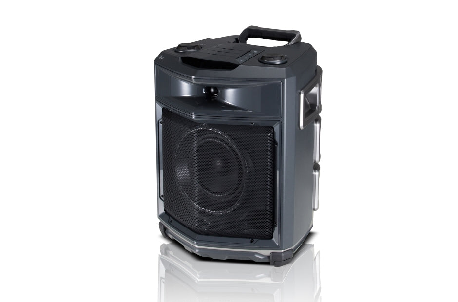 LG FJ3 altavoces para sistema de megafonía Piso De 2 vías Si Si