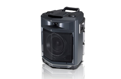 LG FJ3 altavoces para sistema de megafonía Piso De 2 vías Si Si