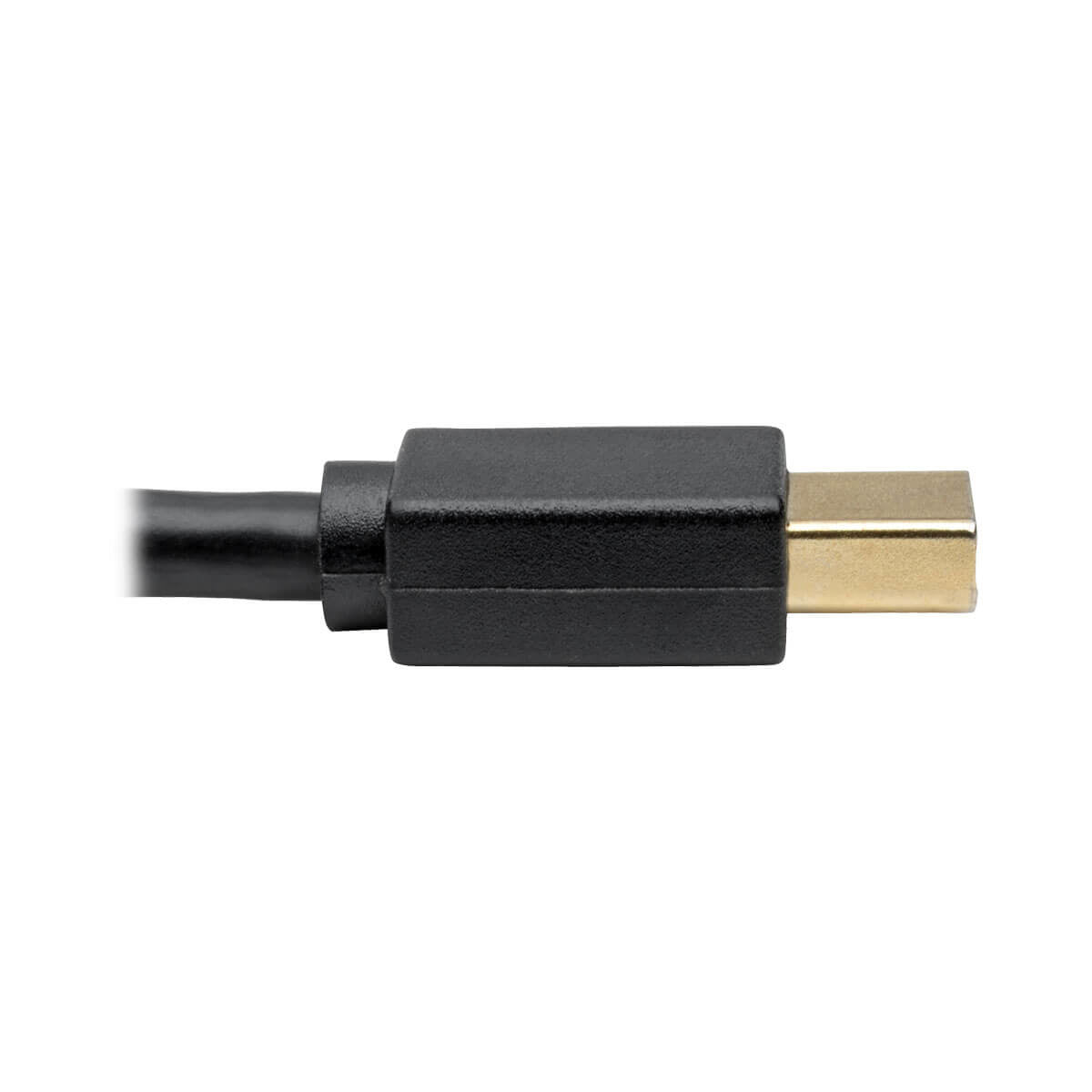 Tripp Lite U444-006-MDP Cable Adaptador USB-C a Mini DisplayPort, 4K 60Hz, Negro, 2 m [6 pies], 3840 x 2160 Pixeles