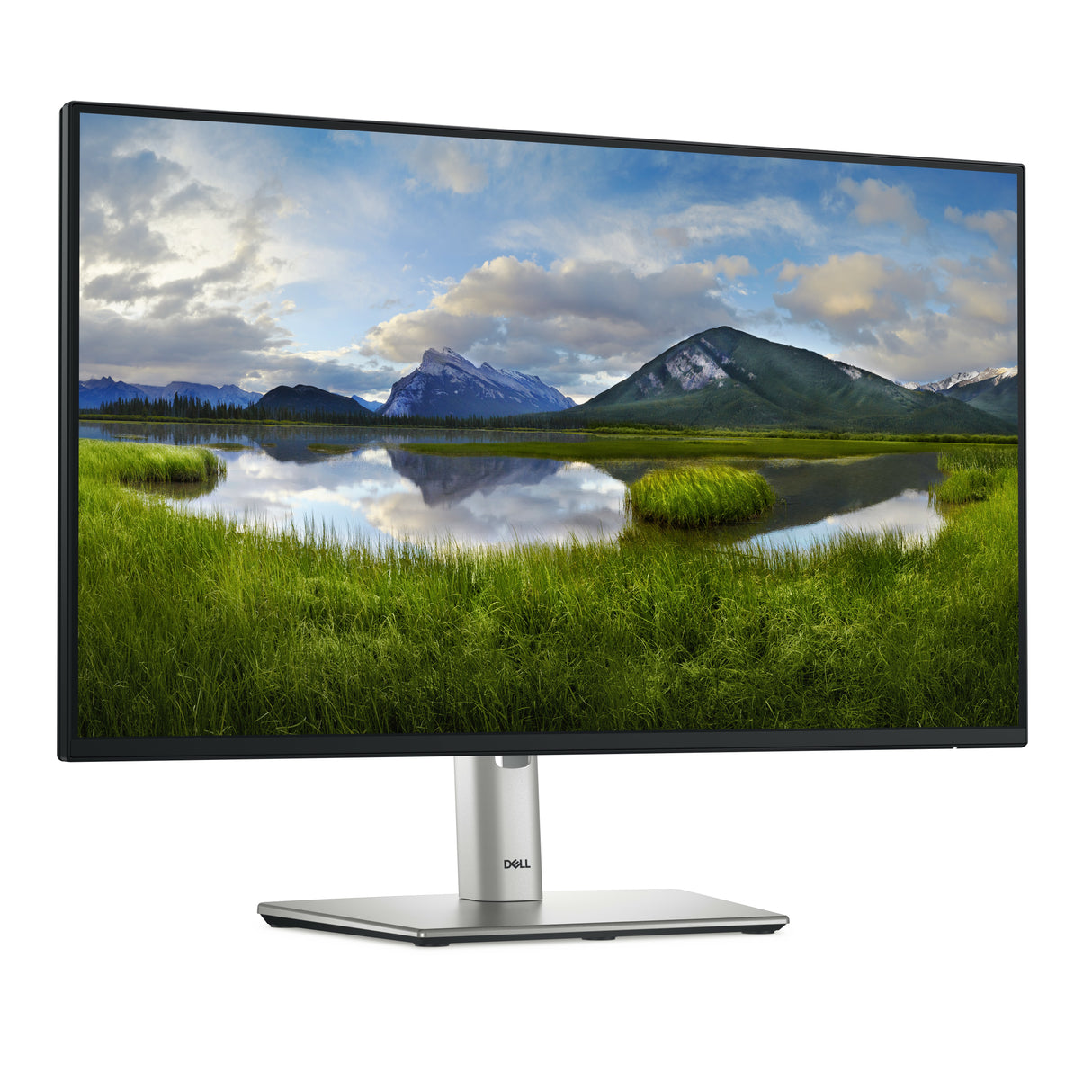 DELL Pro Plus P2425HE pantalla para PC 61 cm (24") 1920 x 1080 Pixeles Full HD LCD Negro
