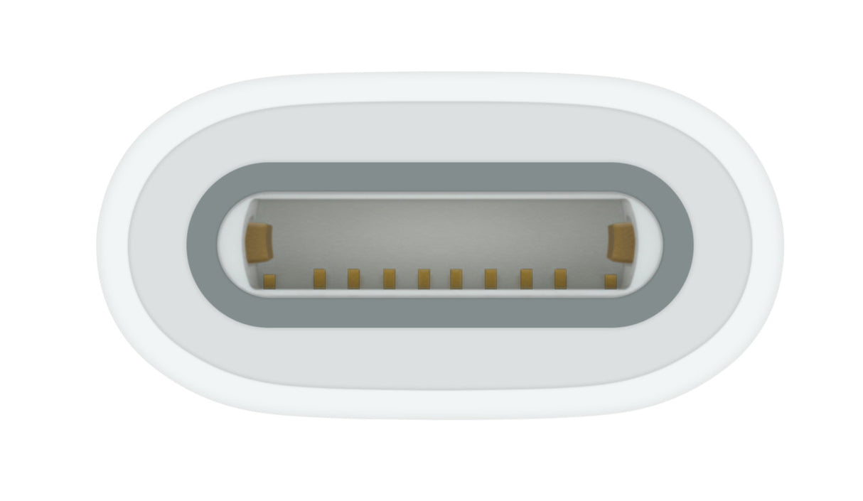 Apple USB-C to Pencil Adapter Blanco 1 pieza(s), Adaptador, iPad (10th generation)