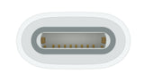 Apple USB-C to Pencil Adapter Blanco 1 pieza(s), Adaptador, iPad (10th generation)