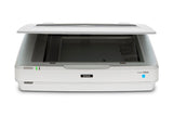 Epson Expression 13000XL Escáner 310 x 437 mm 2400 x 4800 DPI 48 bit 48 bit