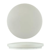 DuoSmart S20 iluminación inteligente Luz de techo inteligente Wi-Fi