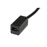 StarTech.com Cable de 15cm DisplayPort a Mini DisplayPort - de Vídeo 4K x 2K UHD - Cable de Extensión DP a mDP 1.2 Cable Derecho Derecho Níquel 1.2