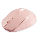 R-Go Tools 6000793 Ratones RF inalámbrico Óptico 1000 DPI