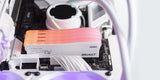 Kingston Technology 8GB 3600MT/s DDR4 CL17 DIMM FURY Beast blanco RGB SE Memoria RAM 17 8 GB 1 x 8 GB DDR4