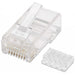 503006 - Intellinet PLUG RJ45 CAT6 SOLIDO UTP BOTE 100 PZAS ORO 15-MICRAS conectores RJ-45 Transparente Oro 100 pieza(s)