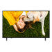 50UA751C - LG 50UA751C televisiones para el sector hotelero 127 cm (50") 4K Ultra HD 3840 x 2160 Pixeles Negro