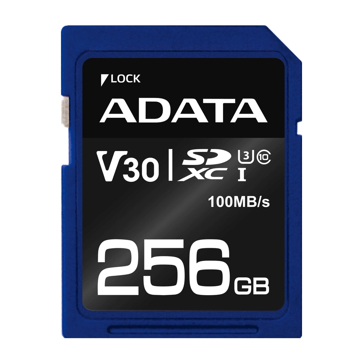 ADATA ASDX256GUI3V30S-R Memoria Flash 256 GB SDXC 100 MB/s 60 MB/s