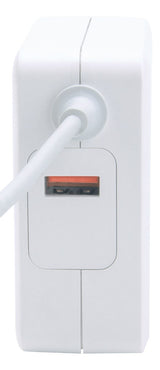 MANHATTAN Cargador 180245, 100-240V, 50/60Hz, Tipo Empresarial