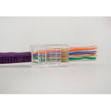 012-025_EZF-100, Plug RJ45 Cat6/6A modular de paso, para cable sólido, con chapa de oro, 100 piezas