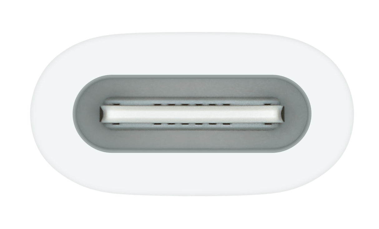 Apple USB-C to Pencil Adapter Blanco 1 pieza(s), Adaptador, iPad (10th generation)