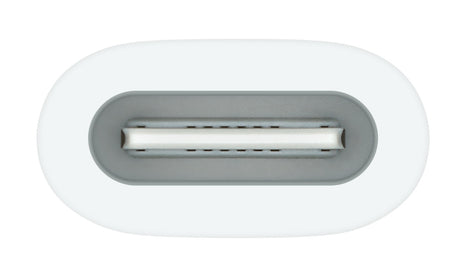 Apple USB-C to Pencil Adapter Blanco 1 pieza(s), Adaptador, iPad (10th generation)