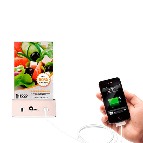 Batería Externa Qiangong LU1301SQFT-PB13S4USB, 13,000mAh, 4 Puertos USB, ACR10