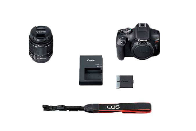 Canon EOS Rebel T7 EF-S 18-55mm IS II Kit Juego de cámara SLR 24.1 MP CMOS 6000 x 4000 Pixeles Negro, Full HD, 485 g