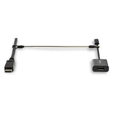 StarTech.com Cables de Seguridad de Doble Lazo - Paquete de 20 - de Acero - Ajustable Organizadores de cables Cable con 