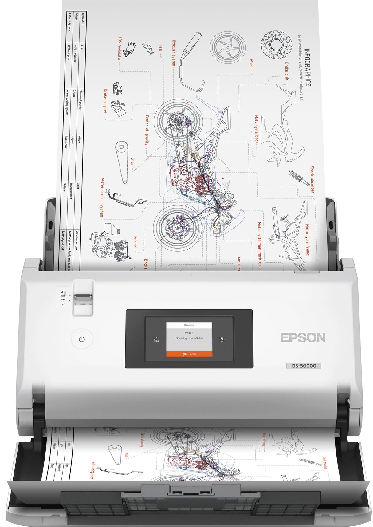 Epson DS-30000 Escáner alimentado con hojas 600 x 600 DPI A3 Blanco, 304.8 x 558.8 mm, 30 Bit, 24 Bit