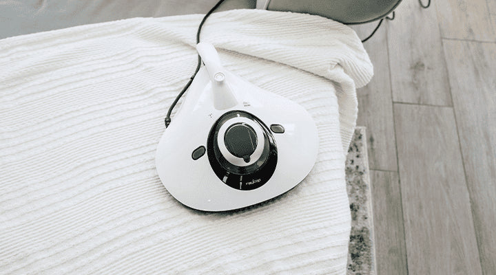 Raycop RE-100A aspiradora de mano Negro, Blanco