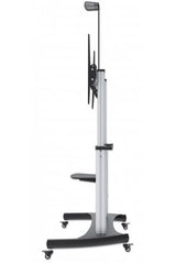 Manhattan 461672 Monitor Plata