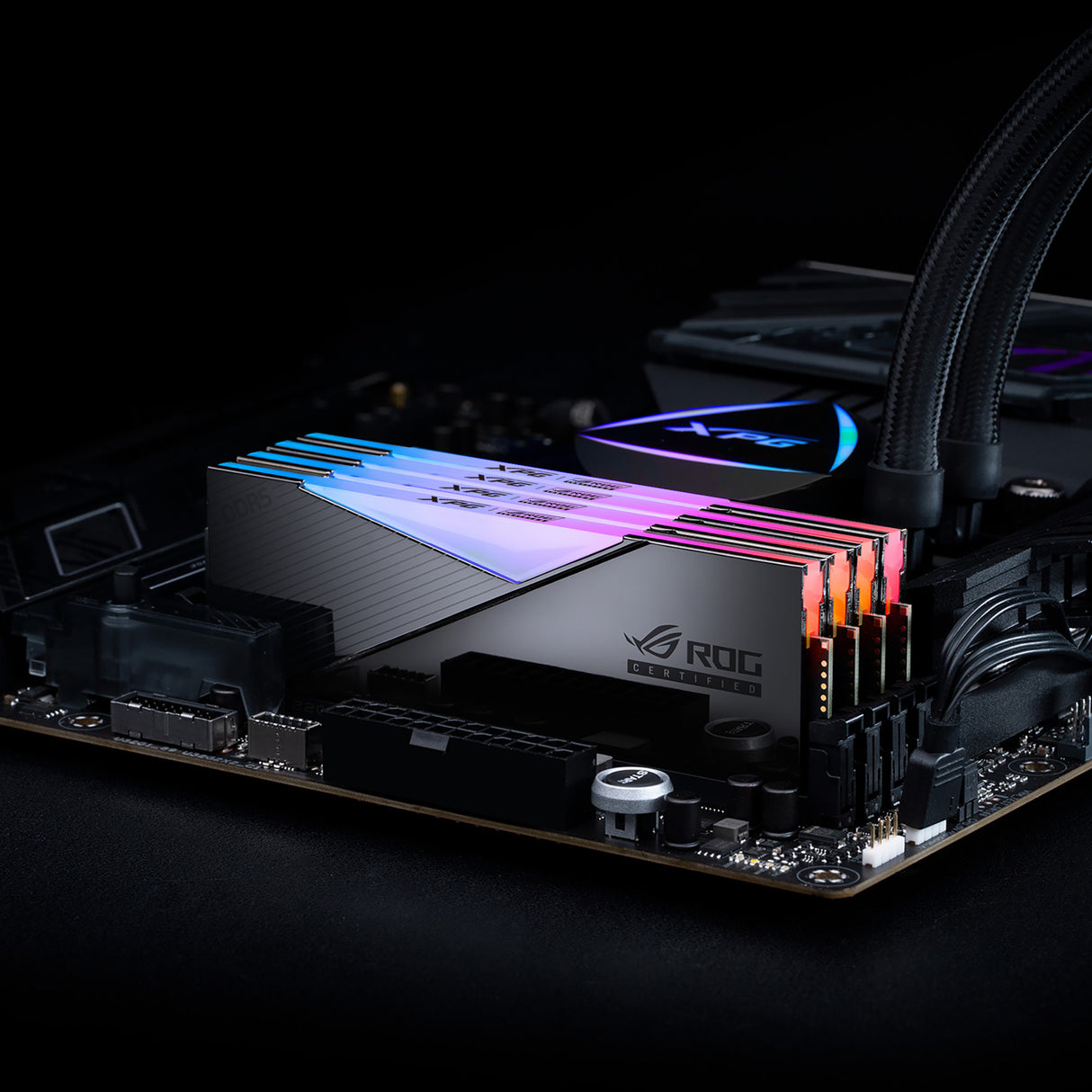 XPG Lancer RGB ROG Memoria RAM Si 44 32 GB 2 x 16 GB