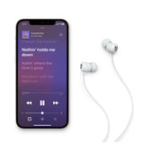 Apple Flex Auriculares Inalámbrico Intra auditivo Llamadas/Música Bluetooth Gris