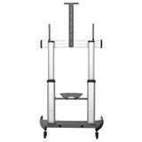 StarTech.com Soporte Móvil para TV - Carro de Alta Resistencia para TV Pantalla Plana de 60 a 100" (100kg) - Stand de Piso para TV con Altura