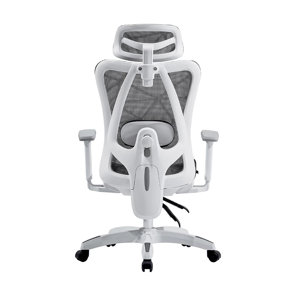 Acteck Floe Plus EC727, Gris, Blanco, Gris, AC-940290 | Sillas para oficina y computadora