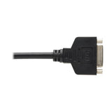 Tripp Lite P134-000 Adaptador de Cable DisplayPort a DVI, Convertidor para DP-M a DVI-I-F, 152 mm [6"], Macho, Hembra, 1